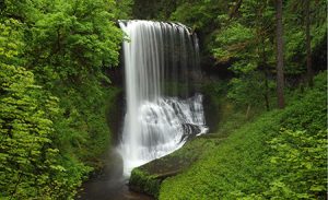 Community Kundalini Yoga East Chatham