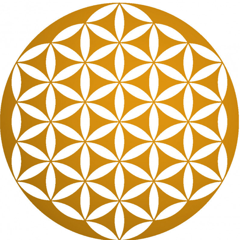 Raj Yoga + Meditation