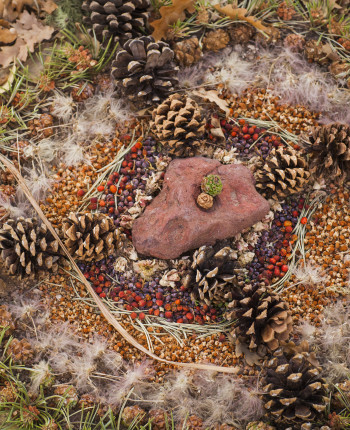 Earth Day Workshop Curriculum